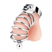 Серебристая клетка для члена Urethral Play Cage - BlueLine - купить с доставкой в Новороссийске