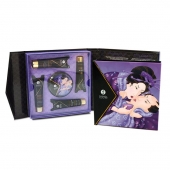 Подарочный набор Geishas secret из 5 предметов - Shunga - купить с доставкой в Новороссийске