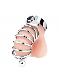 Серебристая клетка для члена Urethral Play Cage - BlueLine - купить с доставкой в Новороссийске