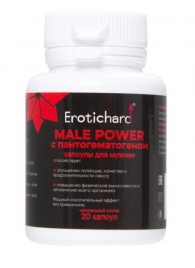 Капсулы для мужчин Erotichard male power с пантогематогеном - 20 капсул (0,370 гр.) - Erotic Hard - купить с доставкой в Новороссийске