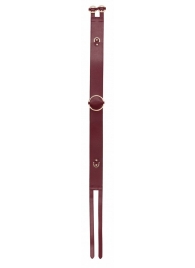 Бордовый ремень Halo Waist Belt - размер L-XL - Shots Media BV - купить с доставкой в Новороссийске