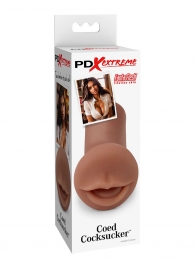 Мастурбатор-ротик Coed Cocksucker - Pipedream - в Новороссийске купить с доставкой