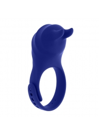 Синее эрекционное виброкольцо с клиторальной подушечкой и пультом ДУ Adjustable Fun Ring - Zero Tolerance - в Новороссийске купить с доставкой