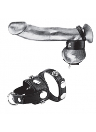 Утяжка для мошонки и пениса Cock Ring With 1  Ball Stretcher And Optional Weight Ring - BlueLine - купить с доставкой в Новороссийске