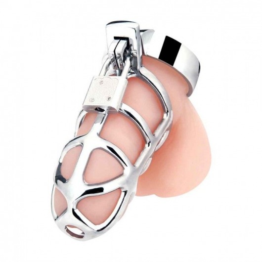Серебристая металлическая клетка для члена с замком Enslave Cock Cage - BlueLine - купить с доставкой в Новороссийске