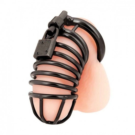 Черная металлическая клетка с замком Deluxe Chastity Cage - BlueLine - купить с доставкой в Новороссийске