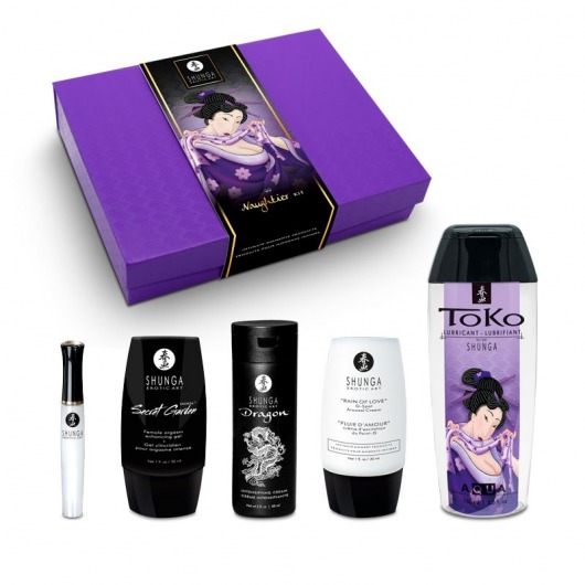 Подарочный набор Naughter Kit - Shunga - купить с доставкой в Новороссийске