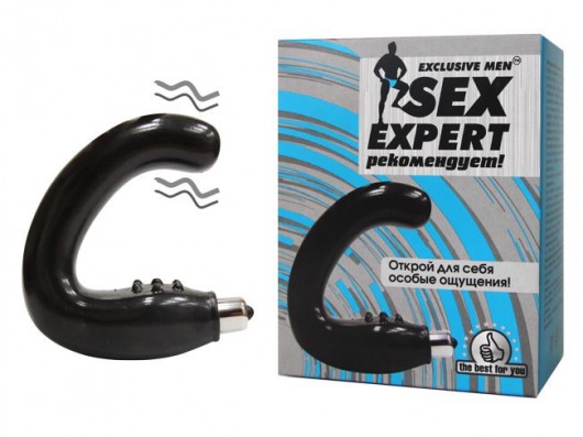 Чёрный массажёр простаты серии Sex Expert - Sex Expert - в Новороссийске купить с доставкой