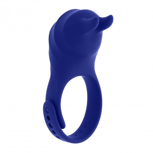 Синее эрекционное виброкольцо с клиторальной подушечкой и пультом ДУ Adjustable Fun Ring - Zero Tolerance - в Новороссийске купить с доставкой