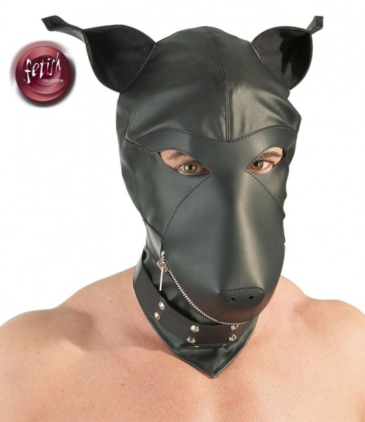 Шлем-маска Dog Mask в виде морды собаки - Orion - купить с доставкой в Новороссийске