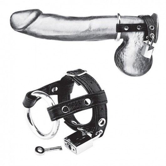 Утяжка на пенис на замочке Duo Cock And Ball Lock - BlueLine - купить с доставкой в Новороссийске
